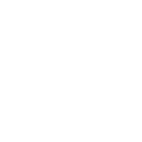 Surgeries Perfomed